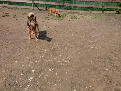f:id:roukenhome-ann:20190415203555j:plain