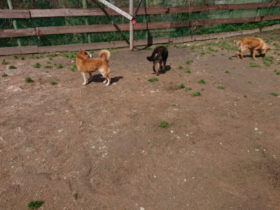 f:id:roukenhome-ann:20190415203726j:plain