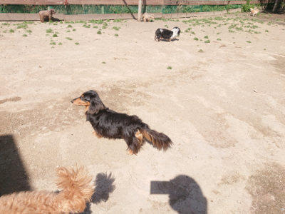 f:id:roukenhome-ann:20190418124808j:plain