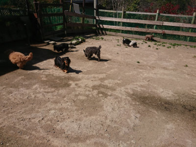 f:id:roukenhome-ann:20190418124839j:plain
