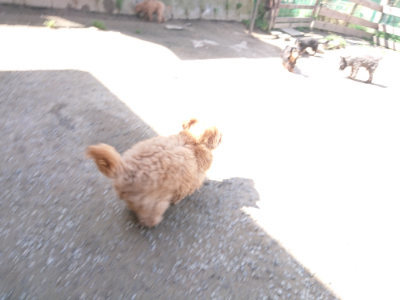 f:id:roukenhome-ann:20190418124905j:plain