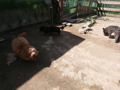 f:id:roukenhome-ann:20190418124948j:plain