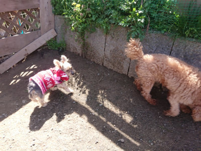 f:id:roukenhome-ann:20190418125018j:plain