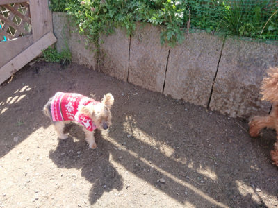 f:id:roukenhome-ann:20190418125023j:plain