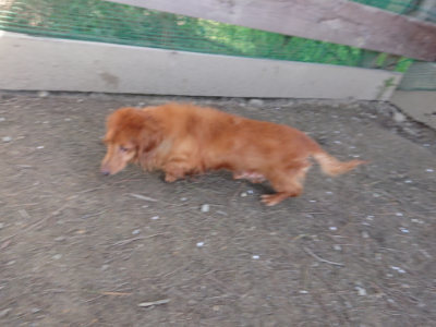 f:id:roukenhome-ann:20190418125027j:plain