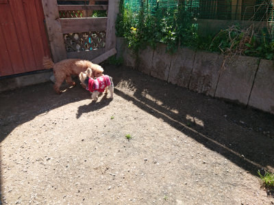 f:id:roukenhome-ann:20190418125031j:plain