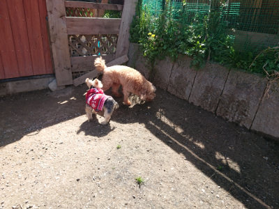 f:id:roukenhome-ann:20190418125037j:plain
