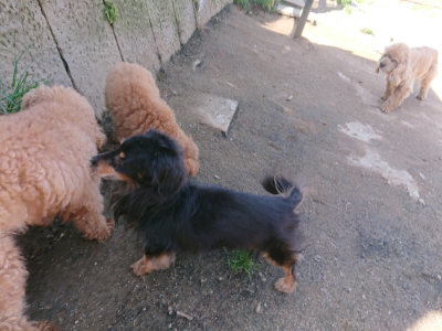 f:id:roukenhome-ann:20190418125041j:plain