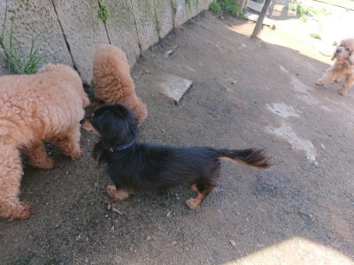 f:id:roukenhome-ann:20190418125100j:plain