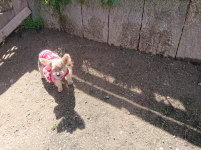 f:id:roukenhome-ann:20190418125115j:plain