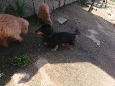 f:id:roukenhome-ann:20190418125121j:plain
