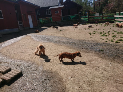 f:id:roukenhome-ann:20190418125134j:plain