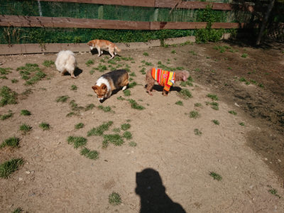f:id:roukenhome-ann:20190418125146j:plain