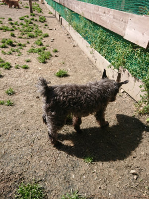 f:id:roukenhome-ann:20190418125230j:plain