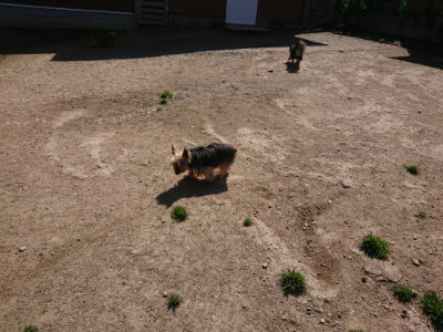 f:id:roukenhome-ann:20190418125237j:plain