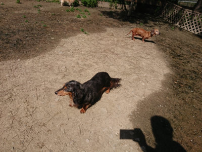 f:id:roukenhome-ann:20190418125410j:plain
