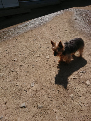 f:id:roukenhome-ann:20190418125427j:plain