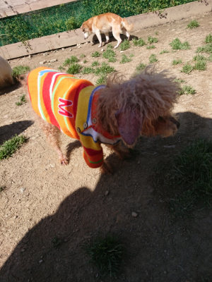 f:id:roukenhome-ann:20190418125447j:plain