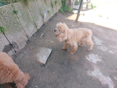 f:id:roukenhome-ann:20190418125502j:plain