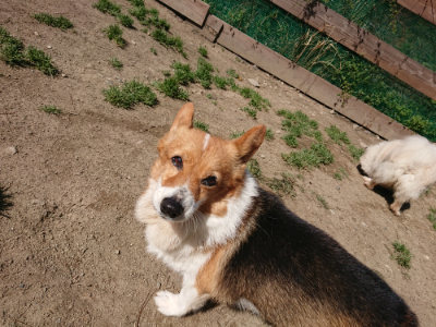 f:id:roukenhome-ann:20190418125533j:plain
