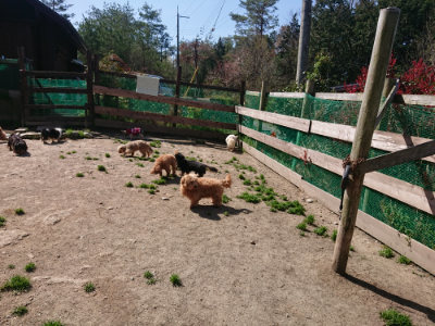 f:id:roukenhome-ann:20190418125544j:plain