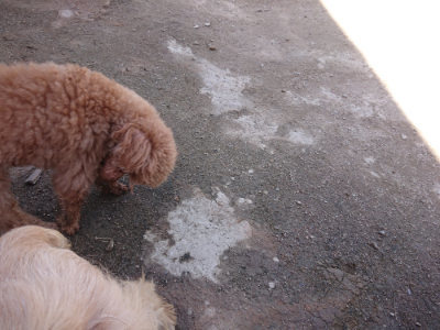 f:id:roukenhome-ann:20190418125550j:plain