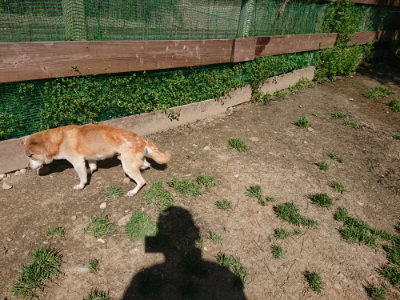 f:id:roukenhome-ann:20190418125619j:plain