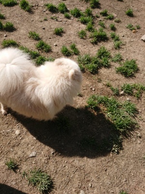 f:id:roukenhome-ann:20190418125623j:plain