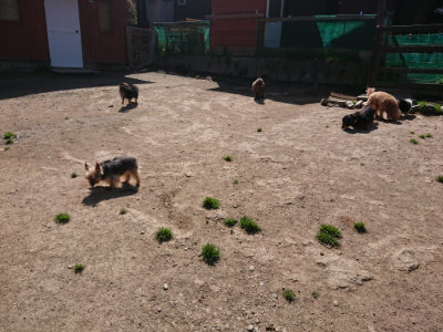 f:id:roukenhome-ann:20190418125628j:plain