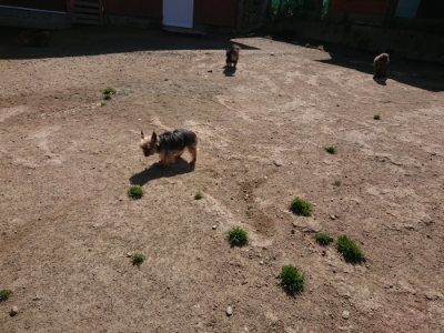 f:id:roukenhome-ann:20190418125638j:plain