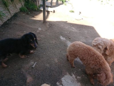 f:id:roukenhome-ann:20190418125642j:plain