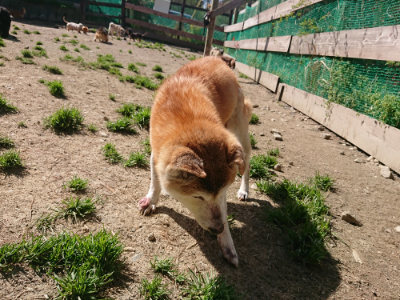 f:id:roukenhome-ann:20190418125652j:plain