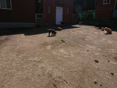 f:id:roukenhome-ann:20190418125722j:plain