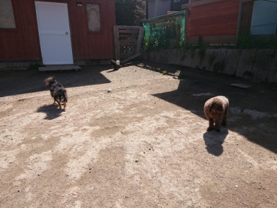 f:id:roukenhome-ann:20190418125740j:plain