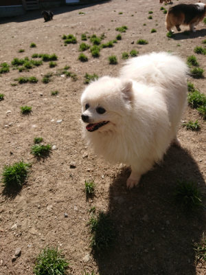 f:id:roukenhome-ann:20190418125749j:plain
