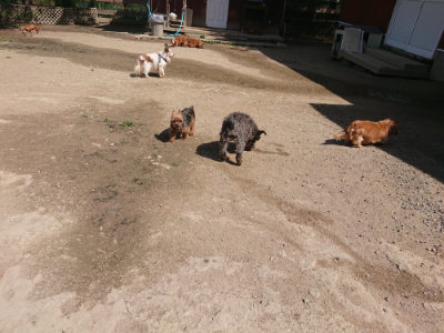 f:id:roukenhome-ann:20190418125803j:plain