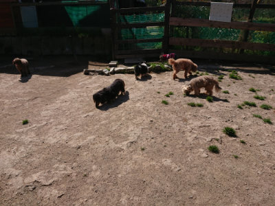 f:id:roukenhome-ann:20190418125811j:plain