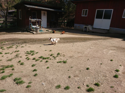 f:id:roukenhome-ann:20190418125841j:plain