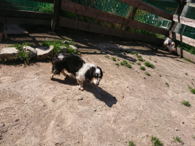 f:id:roukenhome-ann:20190418125858j:plain