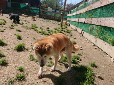 f:id:roukenhome-ann:20190418125913j:plain