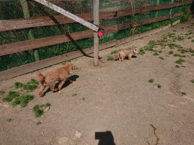 f:id:roukenhome-ann:20190418125921j:plain