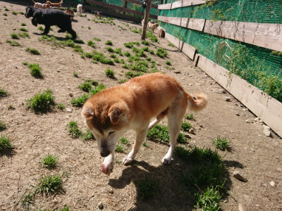 f:id:roukenhome-ann:20190418125926j:plain