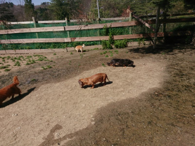 f:id:roukenhome-ann:20190418125936j:plain
