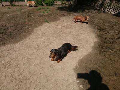 f:id:roukenhome-ann:20190418125940j:plain