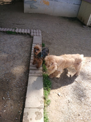 f:id:roukenhome-ann:20190418125950j:plain