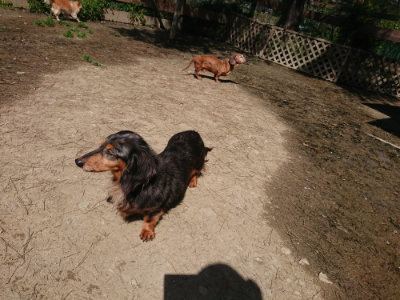 f:id:roukenhome-ann:20190418125955j:plain