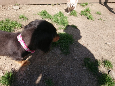 f:id:roukenhome-ann:20190418130105j:plain