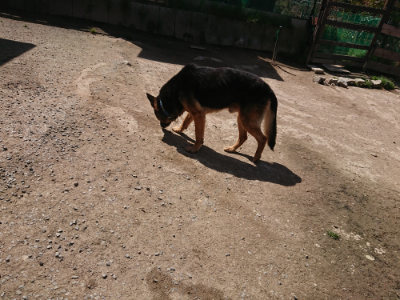 f:id:roukenhome-ann:20190418130124j:plain