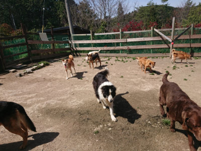 f:id:roukenhome-ann:20190418130129j:plain