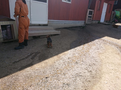 f:id:roukenhome-ann:20190418130138j:plain